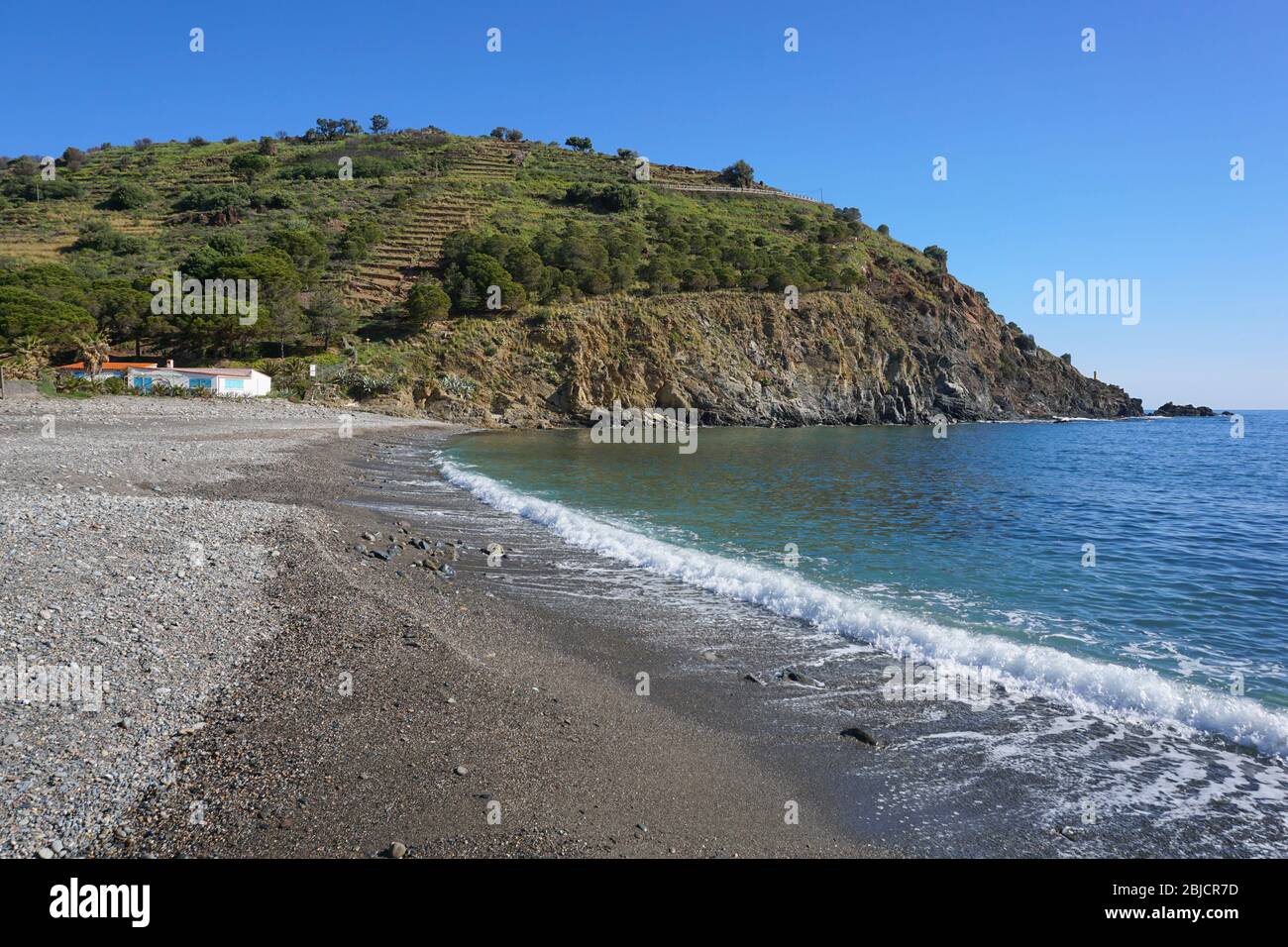 Francia Mediterraneo mare tranquillo ghiaia spiaggia riva, Pirenei Orientali, Peyrefite, Cote Vermeille, Occitanie Foto Stock