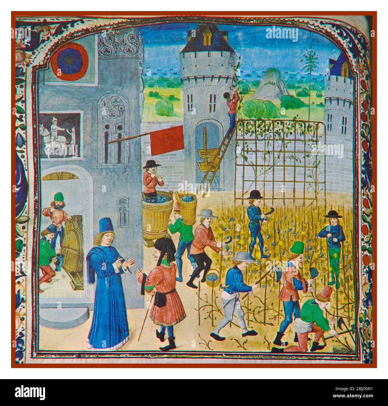 VINIFICAZIONE STORICO archivio medievale d'epoca vinificazione viticoltura ornata a colori illustrazione di Pierre de Crescens, Livre des prouffitz champestres et ruraulx [Livre des profits champêtres et ruraux ou Rustican] autore : Pietro de Crescenzi (1230-1320?). Auteur du texte data di pubblicazione : 1470-1475 manoscritto lingua francese Foto Stock