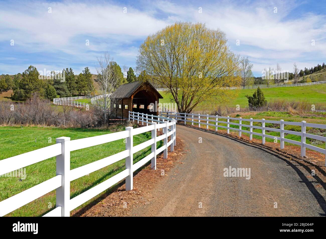 Un piccolo ponte coperto su un torrente nella regione del John Day dell'Oregon centrale sul versante orientale delle Ochoco Mountains. Foto Stock