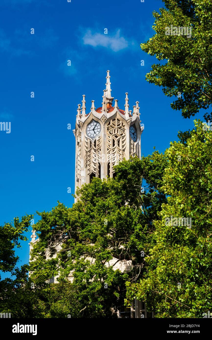 Torre dell'Orologio dell'Università di Auckland, accanto all'Albert Park di Auckland in Nuova Zelanda Foto Stock