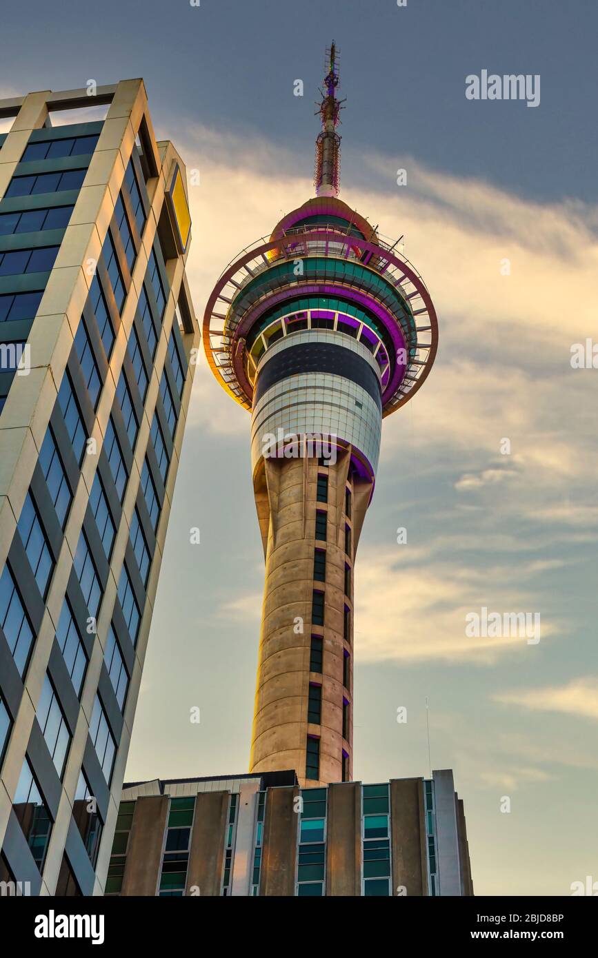 La Sky Tower di Auckland, Nuova Zelanda Foto Stock