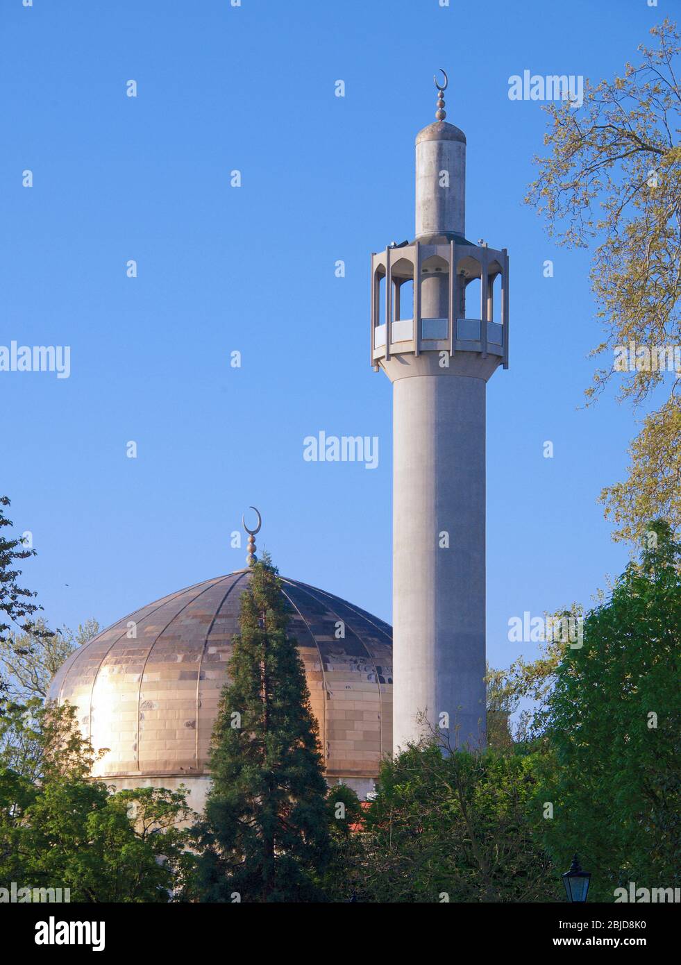 Dome e Minaret Regents Park Londra Inghilterra Foto Stock