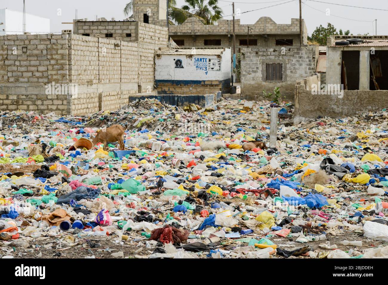 SENEGAL, Joal, rifiuti di plastica / Plastikmüll Foto Stock