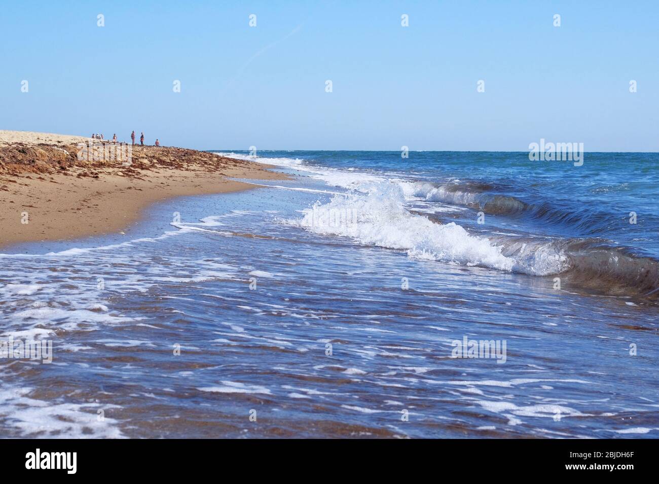 Vacanze e viaggi in estate. Paesaggio marino, spiaggia sabbiosa con conchiglie. Onde sulla spiaggia di sabbia sul mare. Foto Stock
