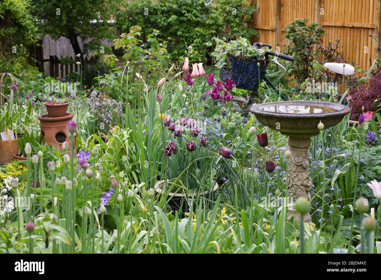 Piccolo giardino cottage in primavera. Foto Stock