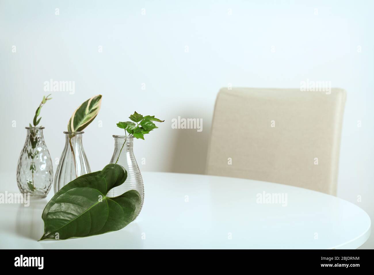 Vasi di vetro con foglie verdi su tavolo bianco Foto Stock