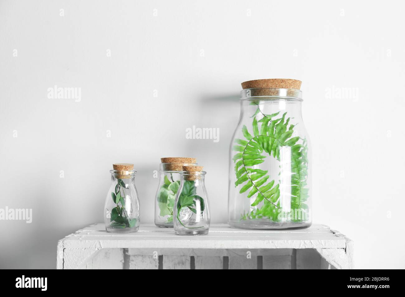 Bottiglie di vetro con foglie su scatola di legno Foto Stock