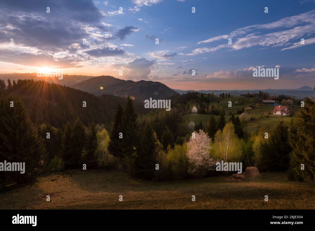 Paesaggio primaverile tramonto a Bran, Brasov, Transilvania, Romania vista naturale Springtime sul massiccio dei monti Piatra Craiului Foto Stock