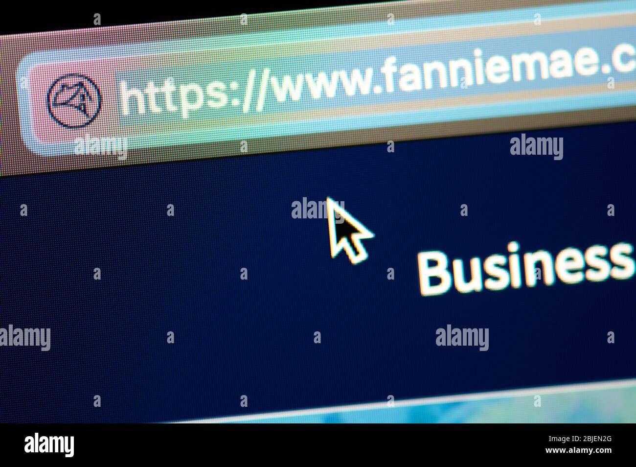 New-York , Stati Uniti - 29 aprile , 2020:Fannie mae url link indirizzo sito primo piano vista sullo schermo del laptop Foto Stock
