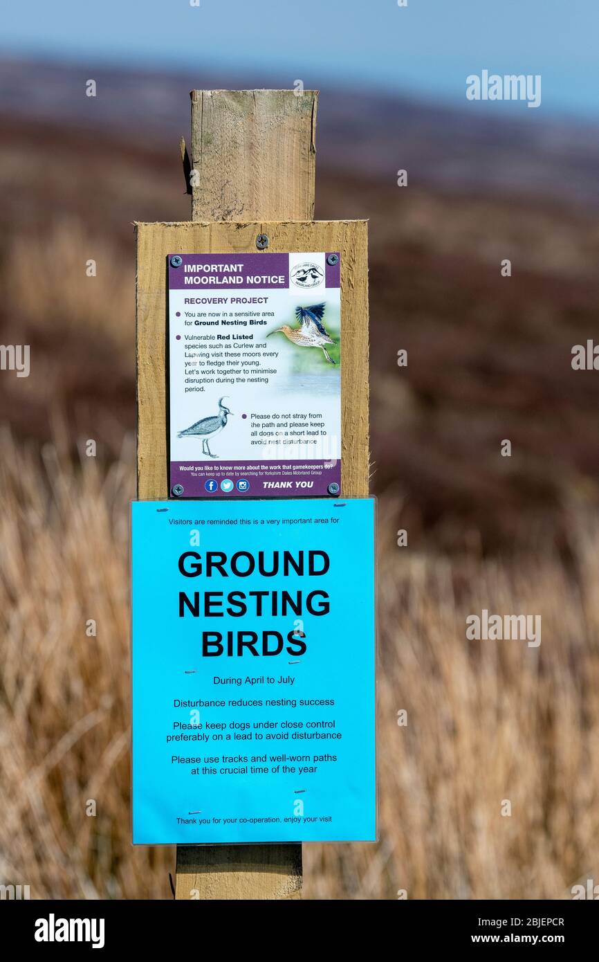 Indicazioni sulla brughiera a Wensleydale, consigliando alle persone di tenere i sentieri e non gambe i loro cani correre sciolto, come è una zona importante per terra nidificare l'uccello Foto Stock