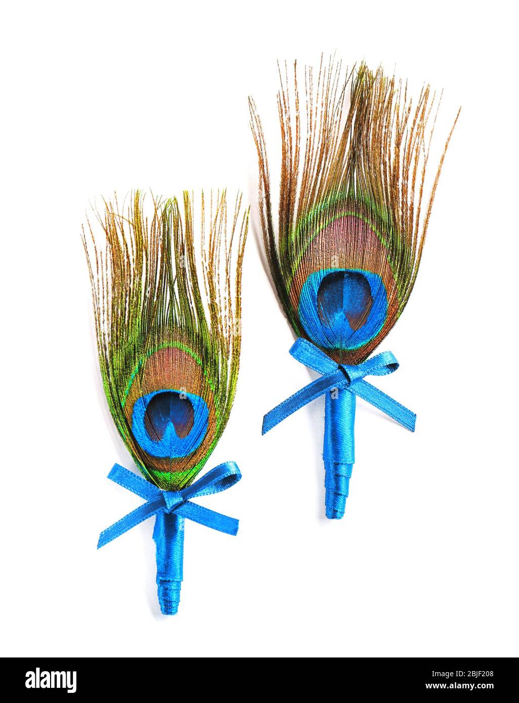 Wedding boutonnieres con peacock feather isolato su bianco Foto Stock