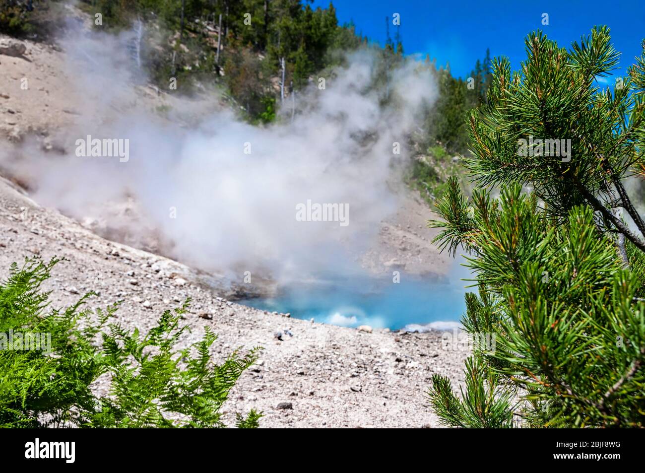 Beryl Spring, una sorgente termale nel bacino del Geyser di Gibbon del Parco Nazionale di Yellowstone, una delle sorgenti più calde del parco. Foto Stock