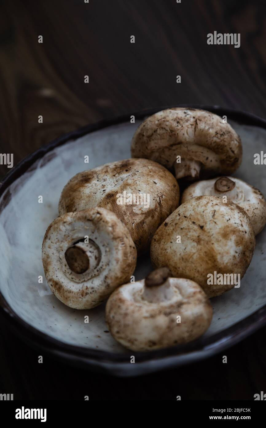 funghi bianchi bottoni in una ciotola, funghi basidiomycete in una ciotola Foto Stock