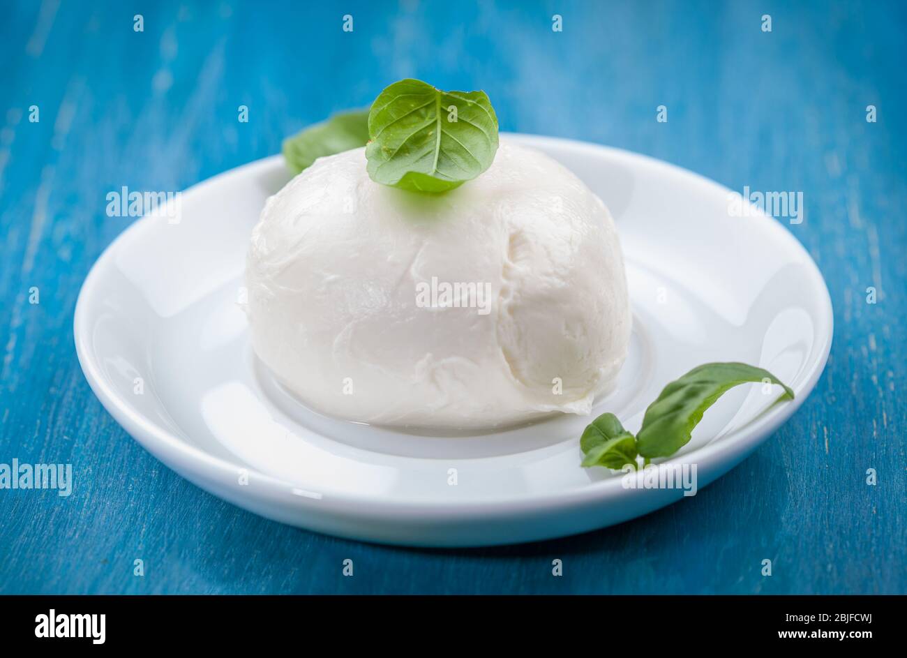 Porzione di deliziosa mozzarella di bufala con foglie di basilico. Prelibatezze italiane. Foto Stock