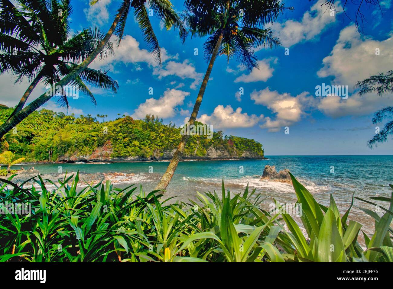Spiaggia tropicale Seashore Foto Stock