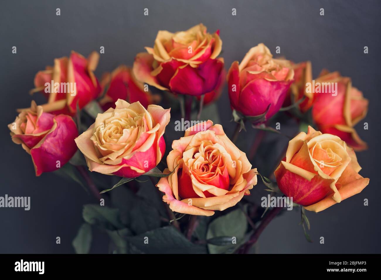 Bouquet di rose rosse e arancioni davanti a sfondo scuro Foto Stock