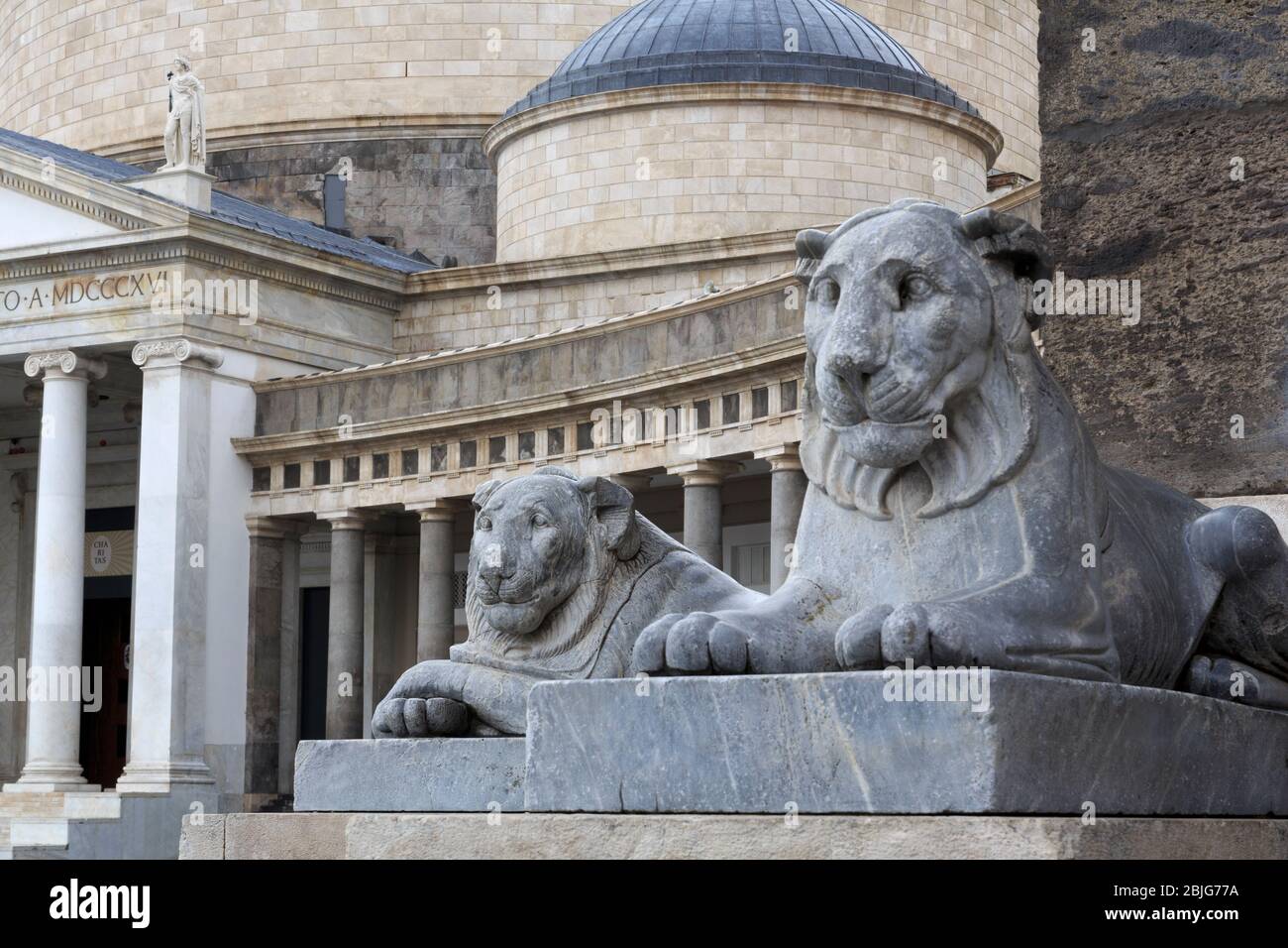 Statua di Lion, Piazza Plebiscito, Napoli, Italia, Europa Foto Stock