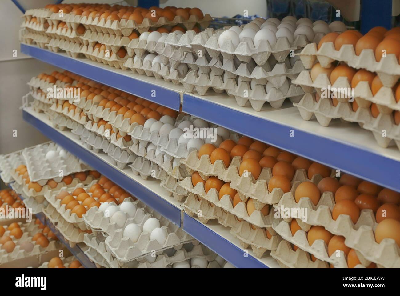 Vassoi di cartone con uova di pollo sugli scaffali del supermercato Foto Stock