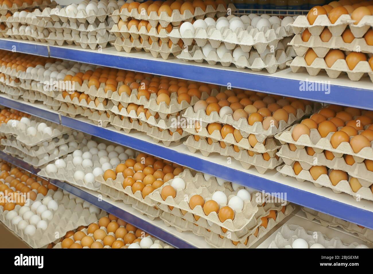Vassoi di cartone con uova di pollo sugli scaffali del supermercato Foto Stock