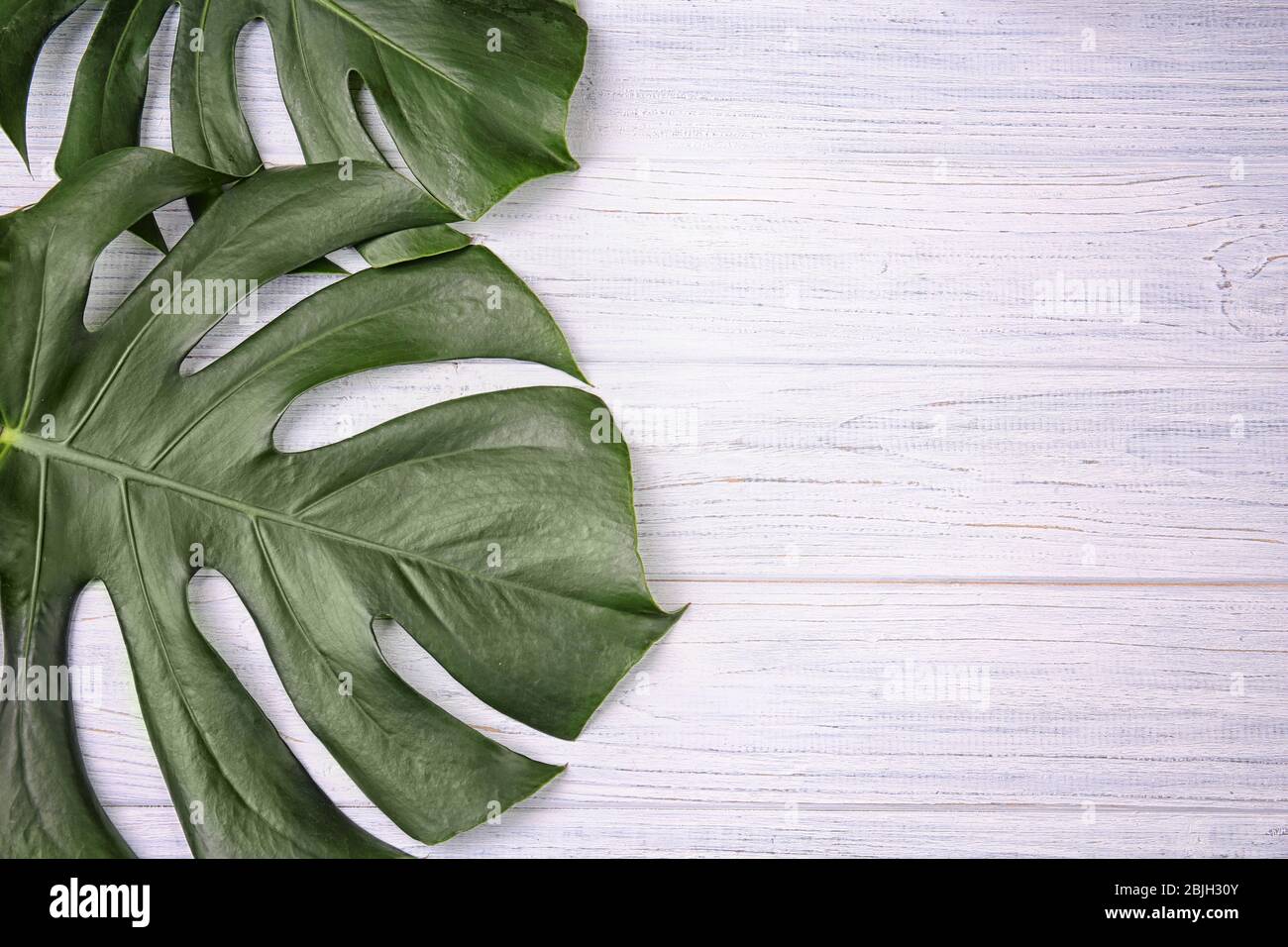 Monstera foglie su sfondo legno Foto Stock