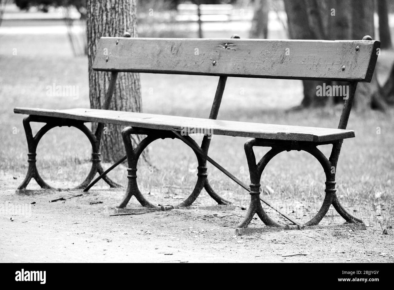 Panca in parco - fotografia in bianco e nero Foto Stock
