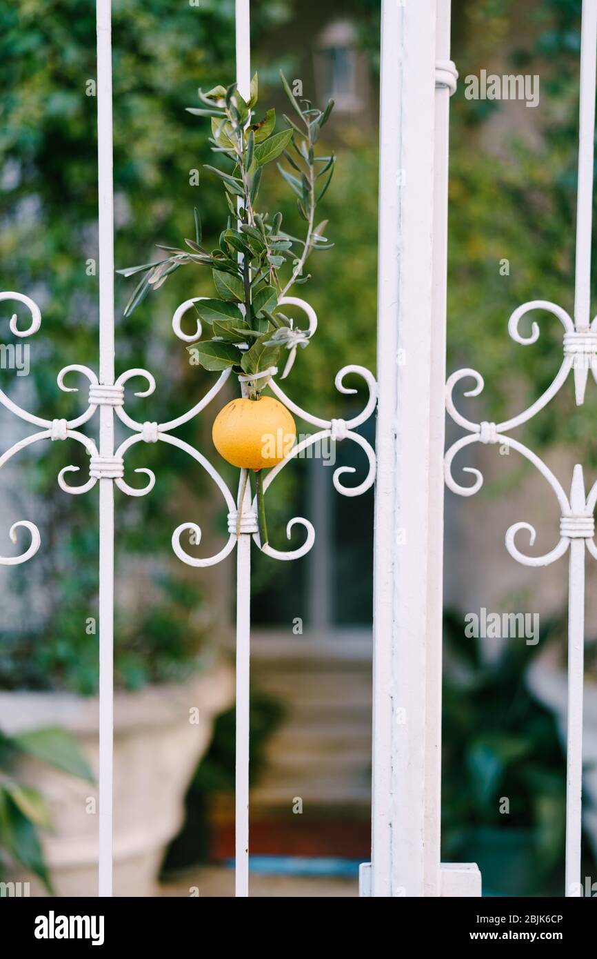 Un ramo di quercia e un'arancia inchiodato alla porta di una casa. Badnjak è una festa nazionale serba, un analogo della vigilia di Natale. Badnjak è solennemente Foto Stock