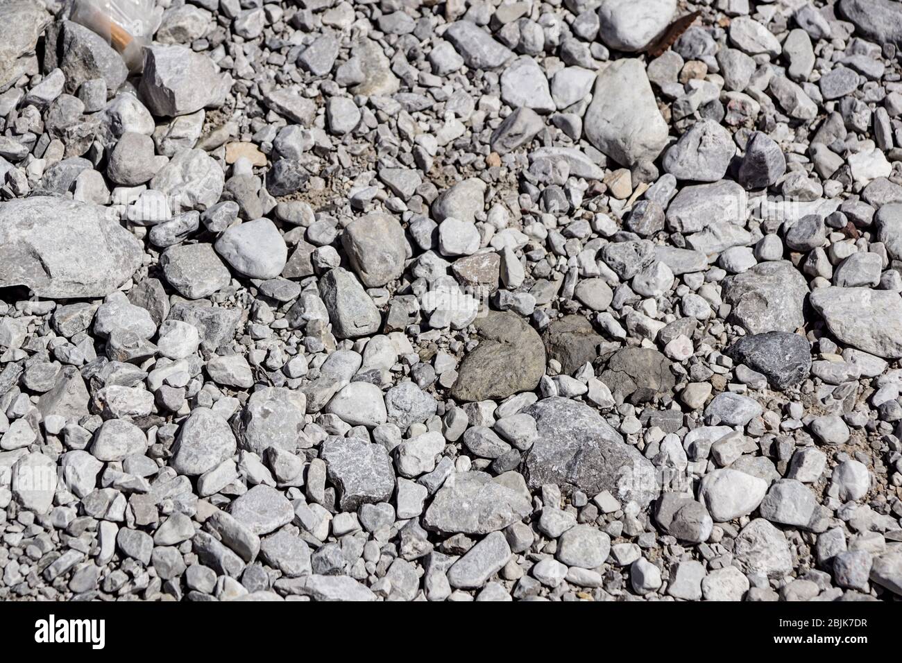 ciottoli bianchi sul pavimento . pietre tessitura . Foto Stock