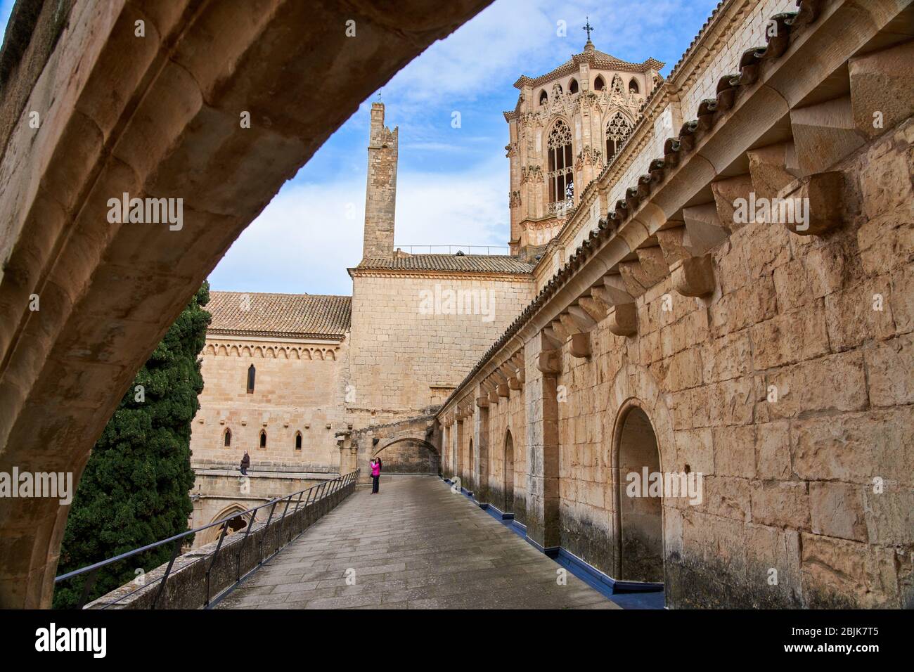 Monastero di Santa Maria de Poblet, provincia di Tarragona, Catalogna, Spagna, Europa Foto Stock