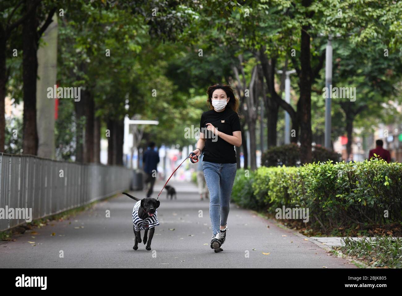 (200430) -- SHENZHEN, 30 aprile 2020 (Xinhua) -- li Wenqi si aggirò con il suo cane adottò su un passaggio nel distretto di Longhua di Shenzhen, provincia di Guangdong della Cina meridionale, 24 aprile 2020. Li Wenqi, nato nel 1993, ha un lavoro nella moderna metropoli cinese meridionale di Shenzhen. Durante le tradizionali vacanze lunari di Capodanno quest'anno, li tornò per riunificazione familiare come di consueto alla sua città natale di Harbin, capitale della provincia di Heilongjiang della Cina nordorientale. Tuttavia, influenzato dall'improvvisa pandemia COVID-19, li non ha potuto tornare a Shenzhen dopo le vacanze e deve rimanere a casa come altri nel co Foto Stock