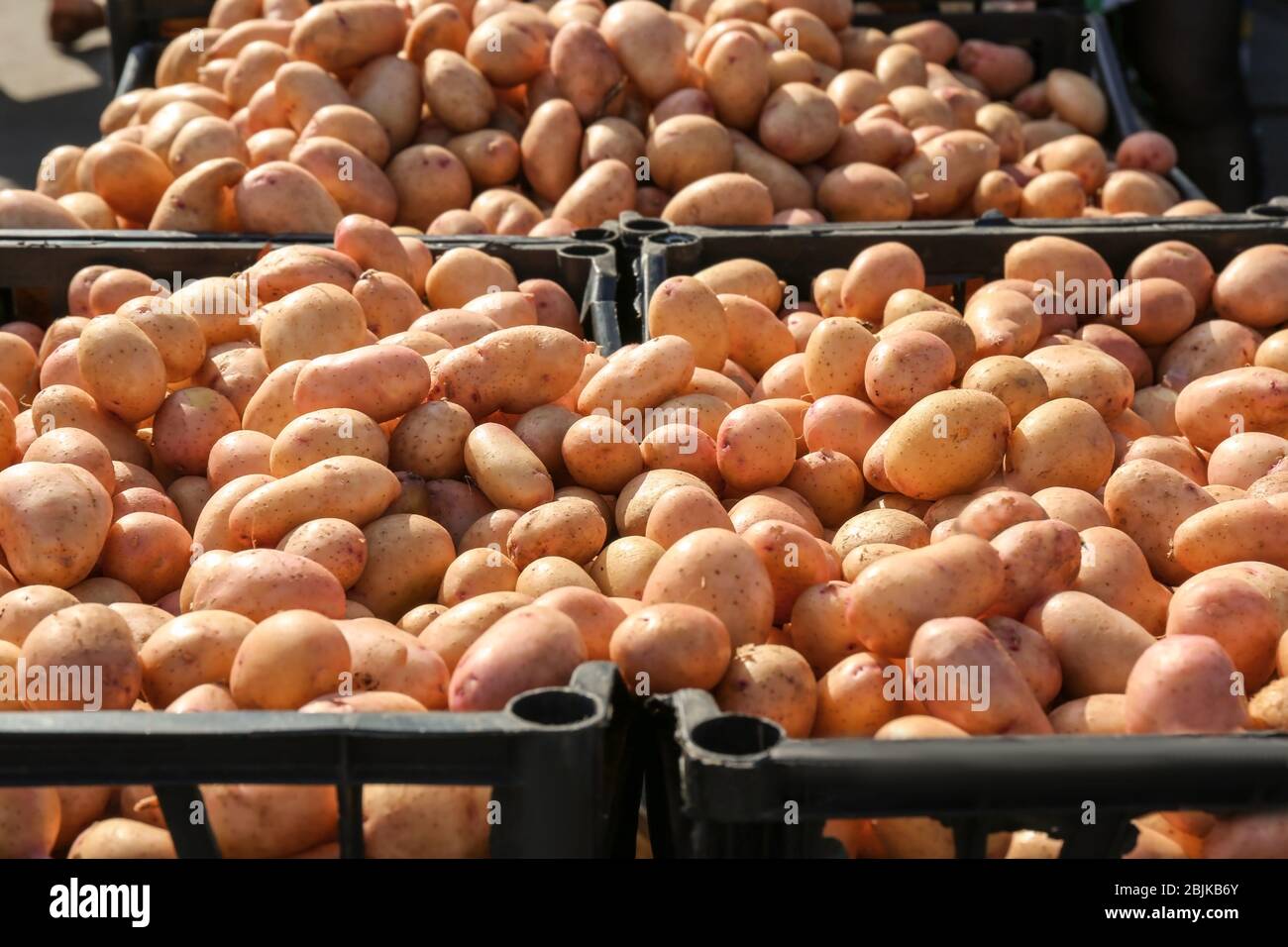 Molte patate in casse di plastica al mercato Foto Stock