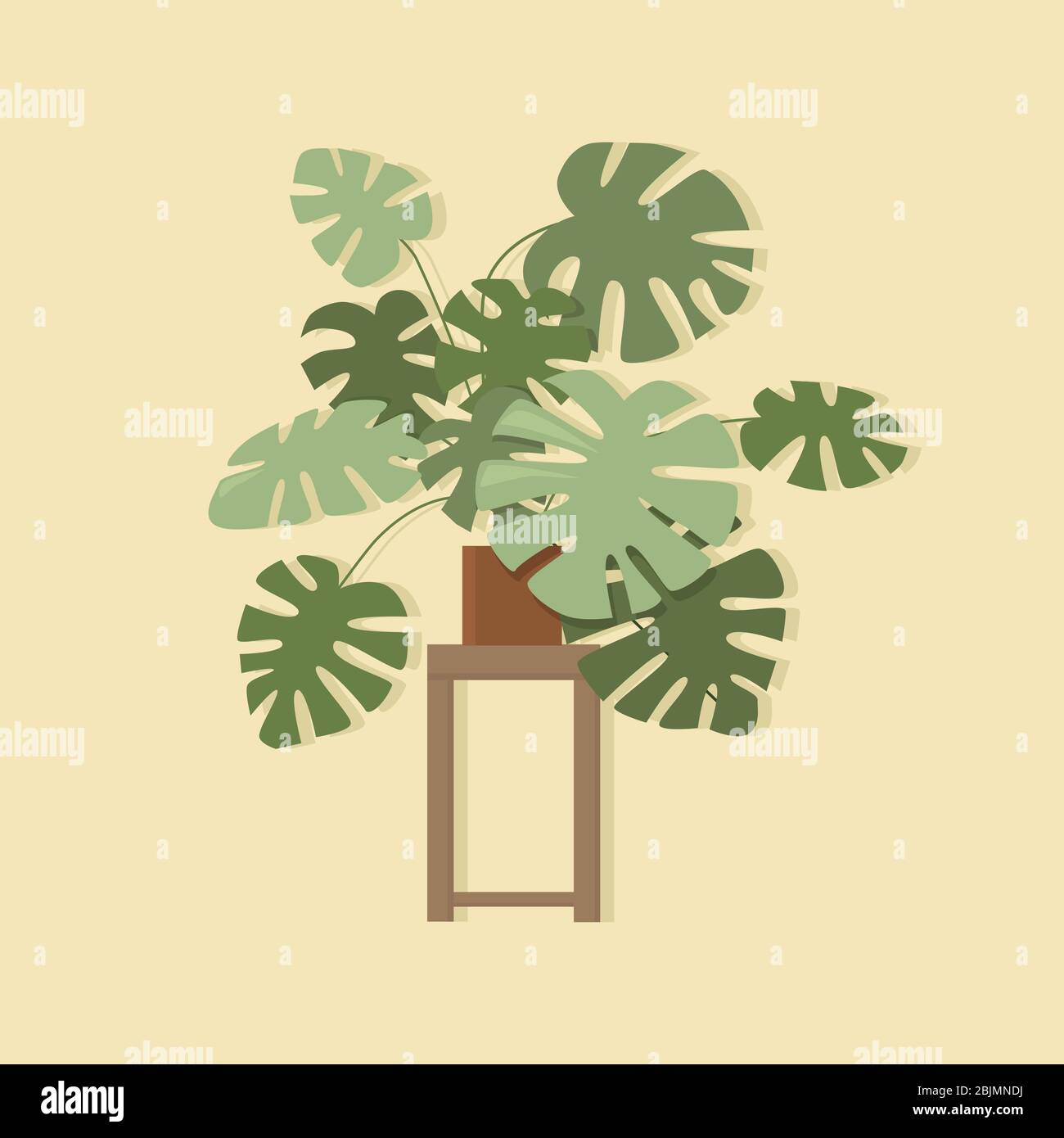 Pianta verde monstera in un vaso. Casa per arredamento interno di casa o ufficio, per creare comfort. Oggetto isolato. Illustrazione vettoriale Illustrazione Vettoriale