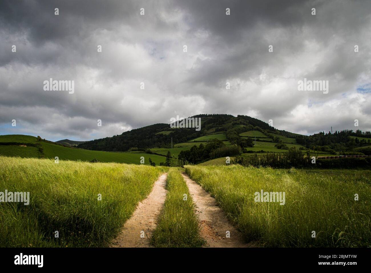 Un sentiero sul terreno segnato da pneumatici trattore facendo una strada, nel mezzo di vasti campi agricoli verdi in paesaggio rurale, in cielo nuvoloso paesaggio Foto Stock