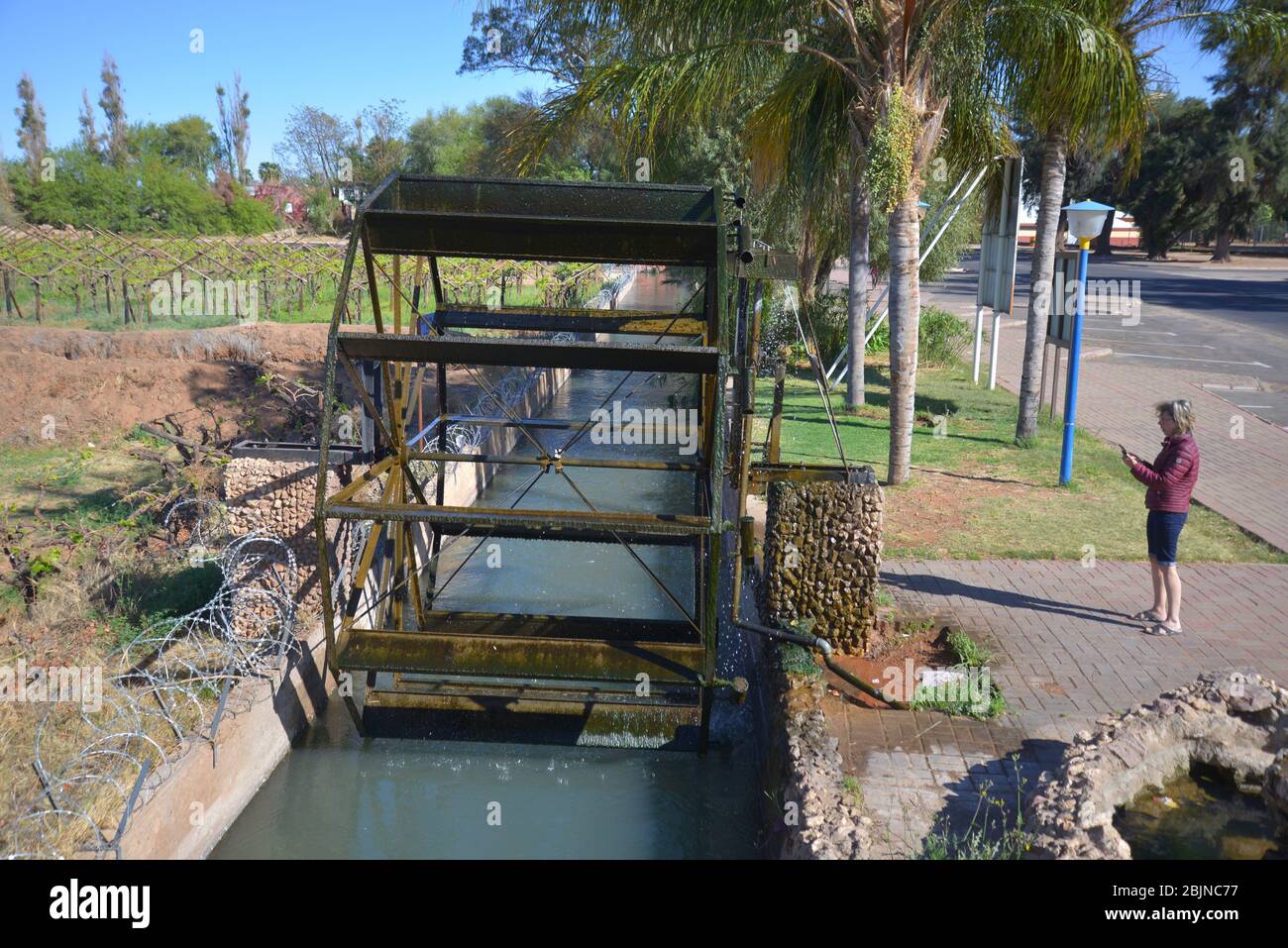 Foto all'aperto sudafricane di Friedrich von Horsten. Vigneti verdi lungo il fiume Orange a Kakamas, Capo Nord. L'irrigazione fa Kalahari verde Foto Stock