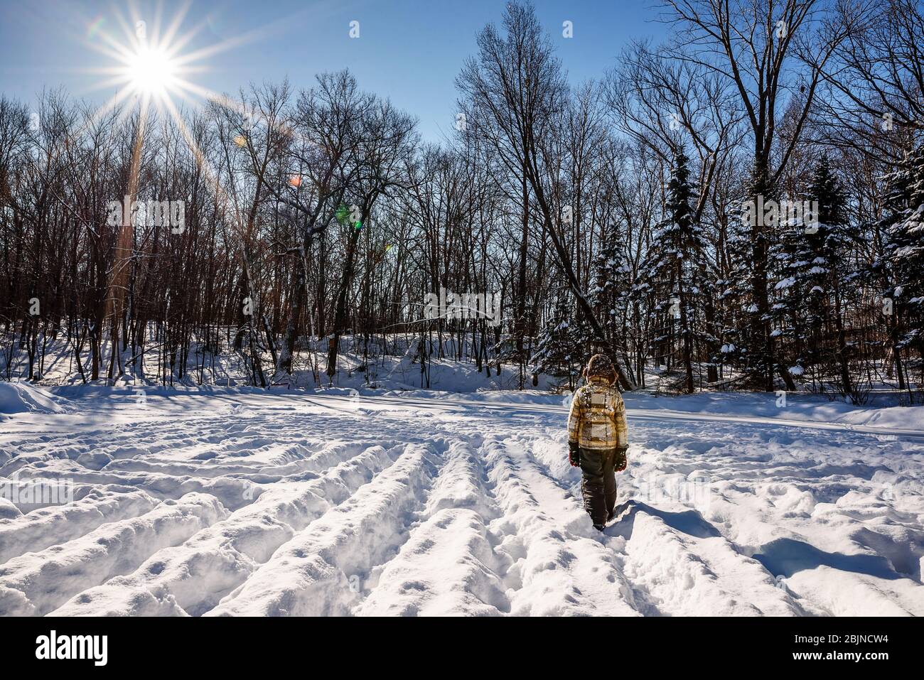 Ragazzo che cammina attraverso un labirinto di neve fatto in casa, USA Foto Stock