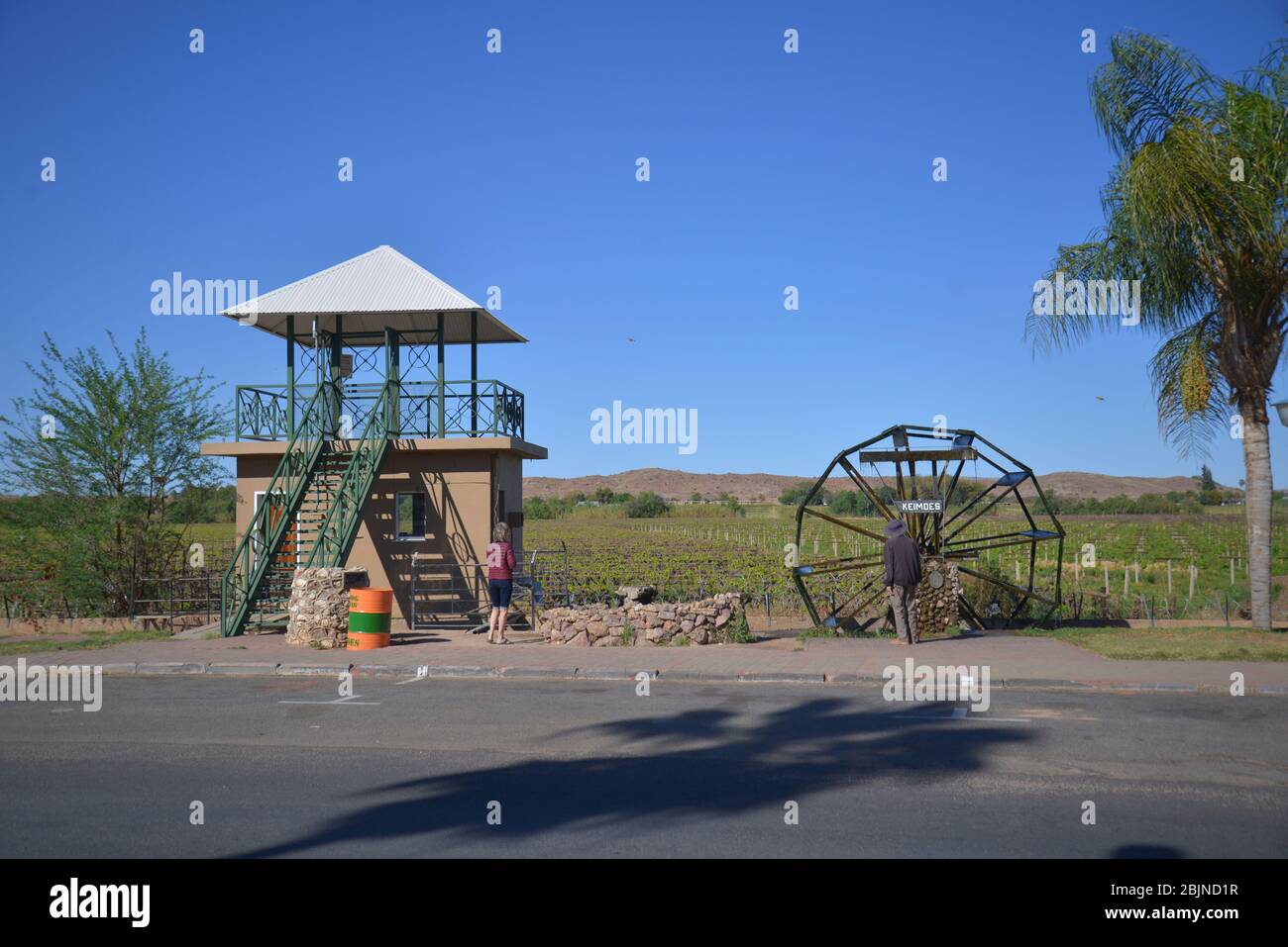 Foto all'aperto sudafricane di Friedrich von Horsten. Vigneti verdi lungo il fiume Orange a Kakamas, Capo Nord. L'irrigazione fa Kalahari verde Foto Stock