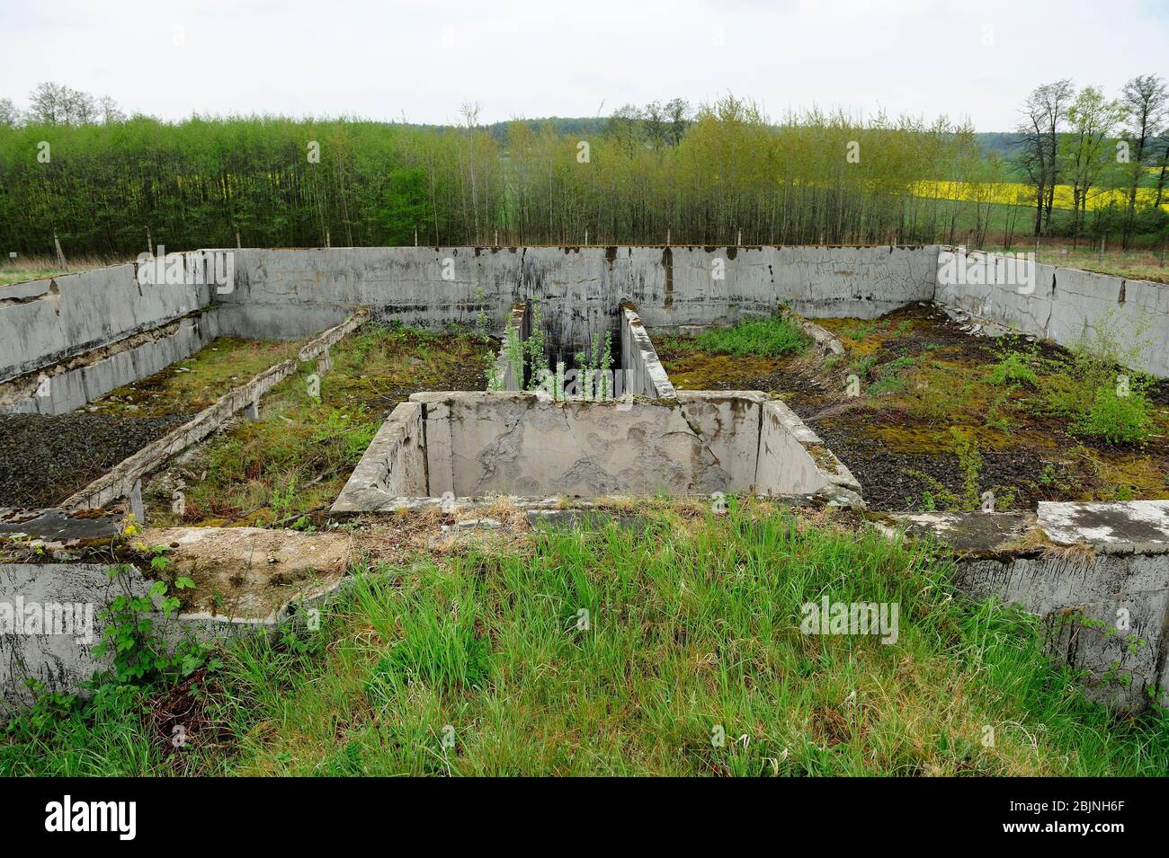 Campo di concentramento nazista tedesco, sterminio in Polonia occupata, reliquie di un ex campo di concentramento nazista tedesco, il campo Gross-Rosen è stato stabilito nell'agosto 1940 come ramo di KL Sachsenhausen, campo di concentramento nazista, sterminio in Polonia occupata, campo di concentramento di Hitler, campo di sterminio in Polonia occupata tedesca, campo di concentramento tedesco, Germania morte Gross-Rosen, dolnoslaskie, polonia, campo di concentramento nazista, Gross-Rosen vicino a Strzegom, rogoznica, dolnoslaskie, polonia, europa, dolnoslaskie, polonia, europa, tedesco di concentrazione nazista, storico, due mondo di guerra, Foto Stock