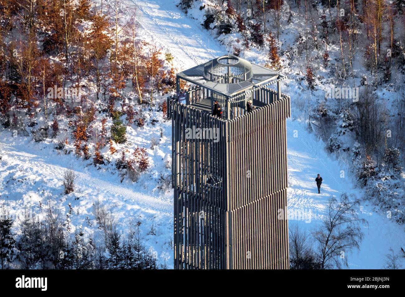 , torre di osservazione Moehnesee nel bosco di Arnsberger, 22.01.2017, vista aerea, Germania, Nord Reno-Westfalia, Sauerland, Parco Naturale Foresta di Arnsberg Foto Stock