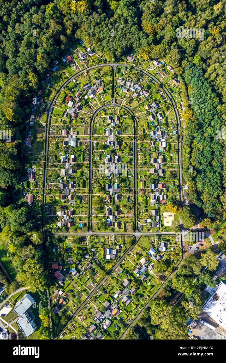 Area giardino alloamento Rottmannshof, Harpener Heide, 27.09.2019, vista aerea, Germania, Renania Settentrionale-Vestfalia, Area Ruhr, Bochum Foto Stock