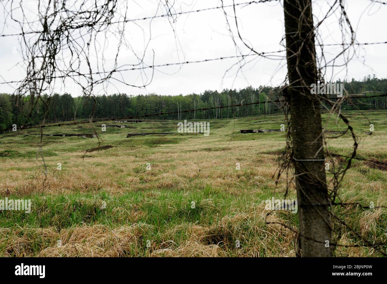 Campo di concentramento nazista tedesco, sterminio nella Polonia occupata, reliquie di un ex campo di concentramento nazista tedesco, il campo Gross-Rosen è stato fondato nell'agosto 1940 come ramo di KL Sachsenhausen, campo di concentramento nazista, sterminio nella Polonia occupata, campo di concentramento Hitler, campo di sterminio nella Polonia occupata tedesca, campo di concentramento tedesco, morte tedesca Gross-Rosen, dolnoslaskie, polonia, Campo di concentramento nazista, Gross-Rosen vicino a Strzegom, rogoznica, dolnoslaskie, polonia, europa, dolnoslaskie, polonia, europa, concentrazione nazista tedesca, macchina della morte di Hitler Foto Stock