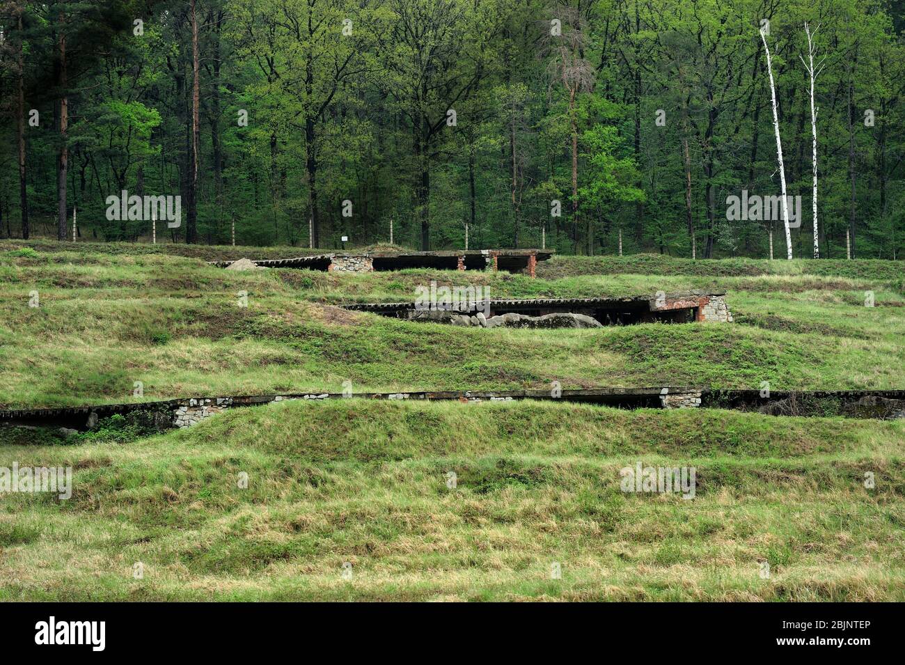 Campo di concentramento nazista tedesco, sterminio in Polonia occupata, reliquie di un ex campo di concentramento nazista tedesco, il campo Gross-Rosen è stato stabilito nell'agosto 1940 come ramo di KL Sachsenhausen, campo di concentramento nazista, sterminio in Polonia occupata, campo di concentramento di Hitler, campo di sterminio in Polonia occupata tedesca, campo di concentramento tedesco, Germania morte Gross-Rosen, dolnoslaskie, polonia, campo di concentramento nazista, Gross-Rosen vicino a Strzegom, rogoznica, dolnoslaskie, polonia, europa, dolnoslaskie, polonia, europa, tedesco di concentrazione nazista, storico, due mondo di guerra, Foto Stock