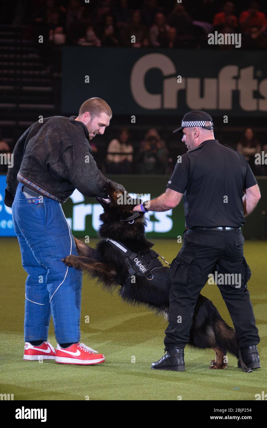 CRUFTS: LadBaby si unisce alla mostra dei cani della polizia delle West Midlands il 5 marzo 2020 Foto Stock