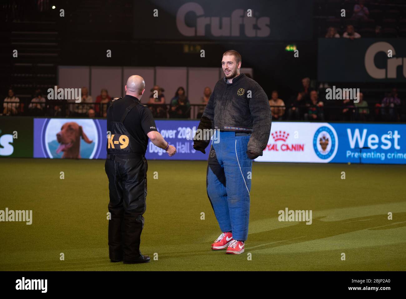 CRUFTS: LadBaby si unisce alla mostra dei cani della polizia delle West Midlands il 5 marzo 2020 Foto Stock