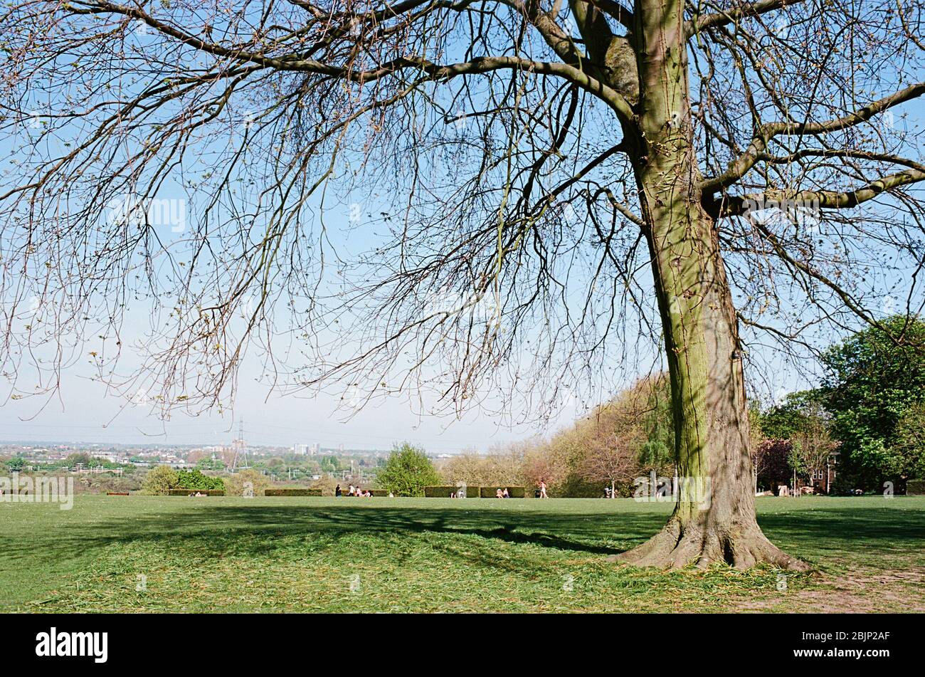 Vista dalla cima di Springfield Park, vicino a Upper Clapton nel London Borough of Hackney, Londra Regno Unito Foto Stock