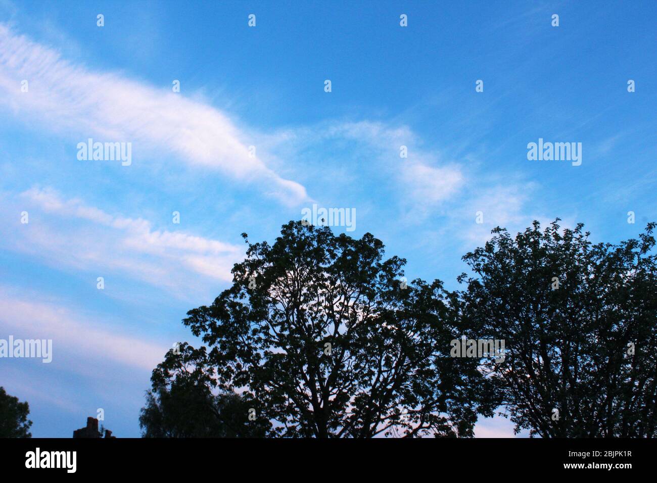 Nuvole rosa pallido in un cielo blu brillante a Manchester, Inghilterra Foto Stock