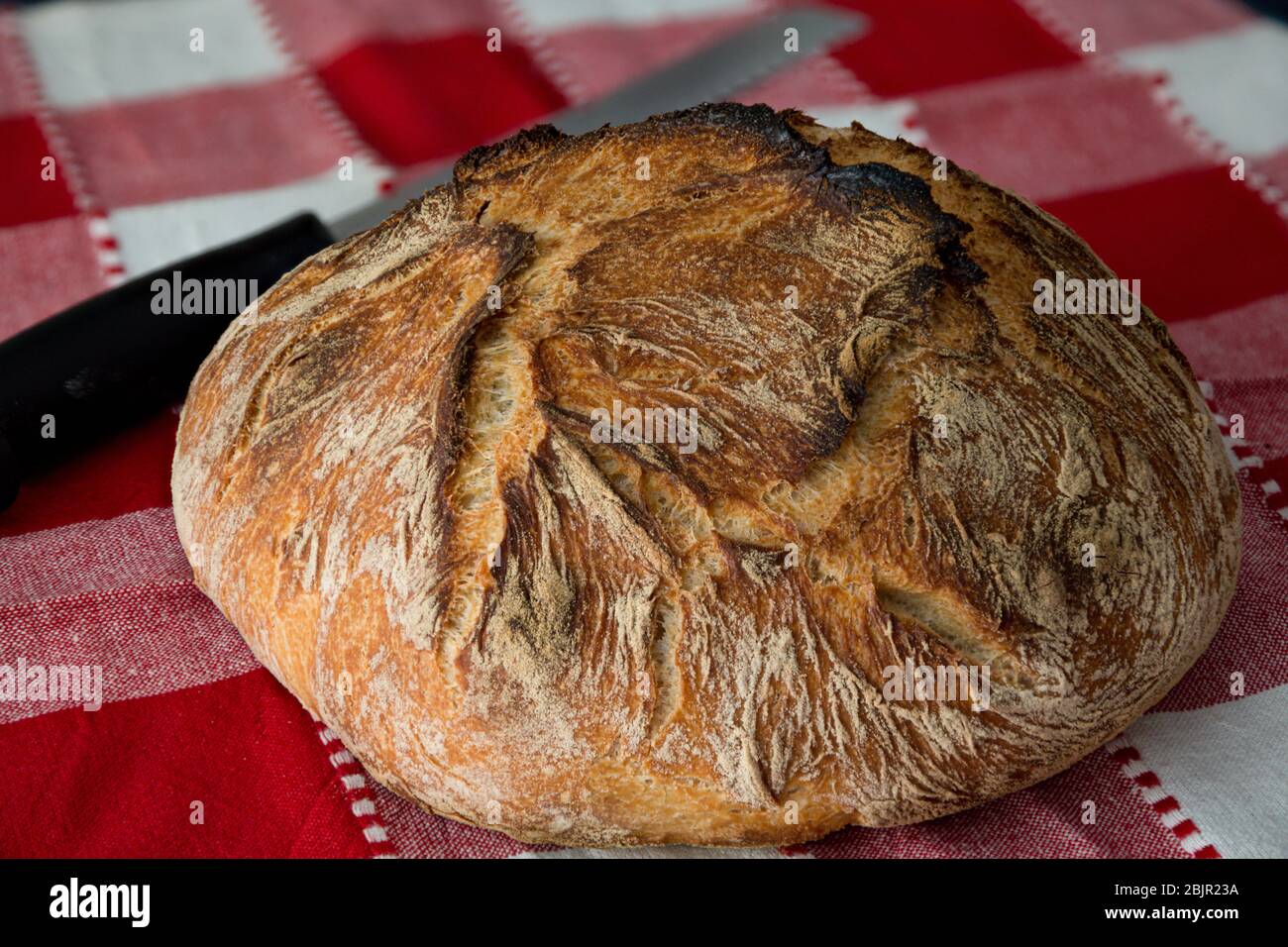 Souppast pane fatto in casa, cotto nel forno olandese. Foto Stock