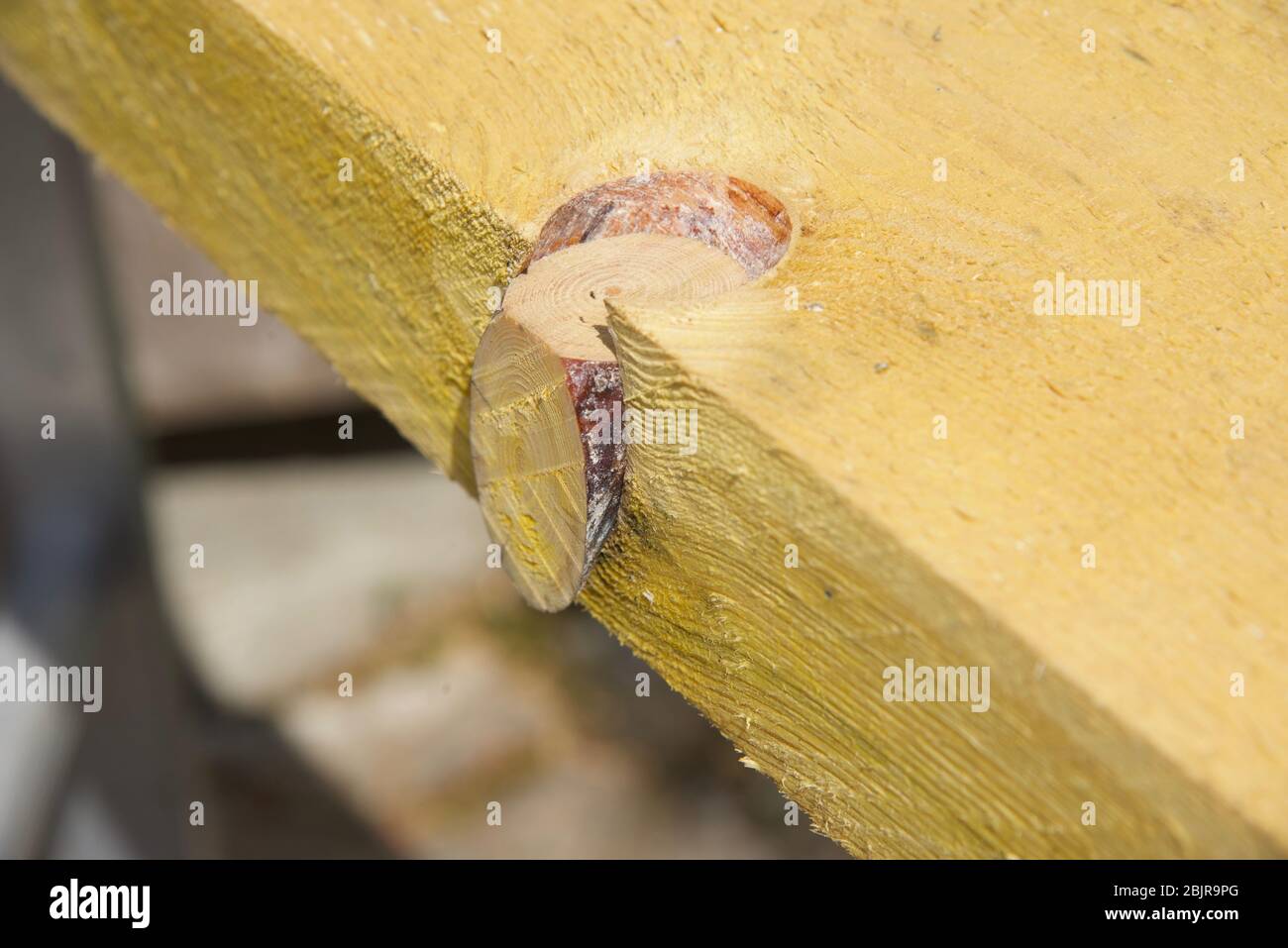 Nodo di legno: Un nodo di legno spostato sul bordo di una lunghezza di legno da costruzione di sega ruvida Foto Stock