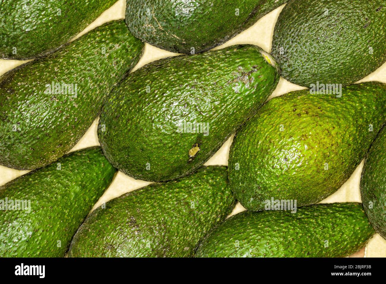 Avocado, pera di alligatore sfondo regolare. Macro. Pieno di dettagli. L'avocado o la pera di alligatore è un frutto, botanico un grande bacche contiene un si Foto Stock