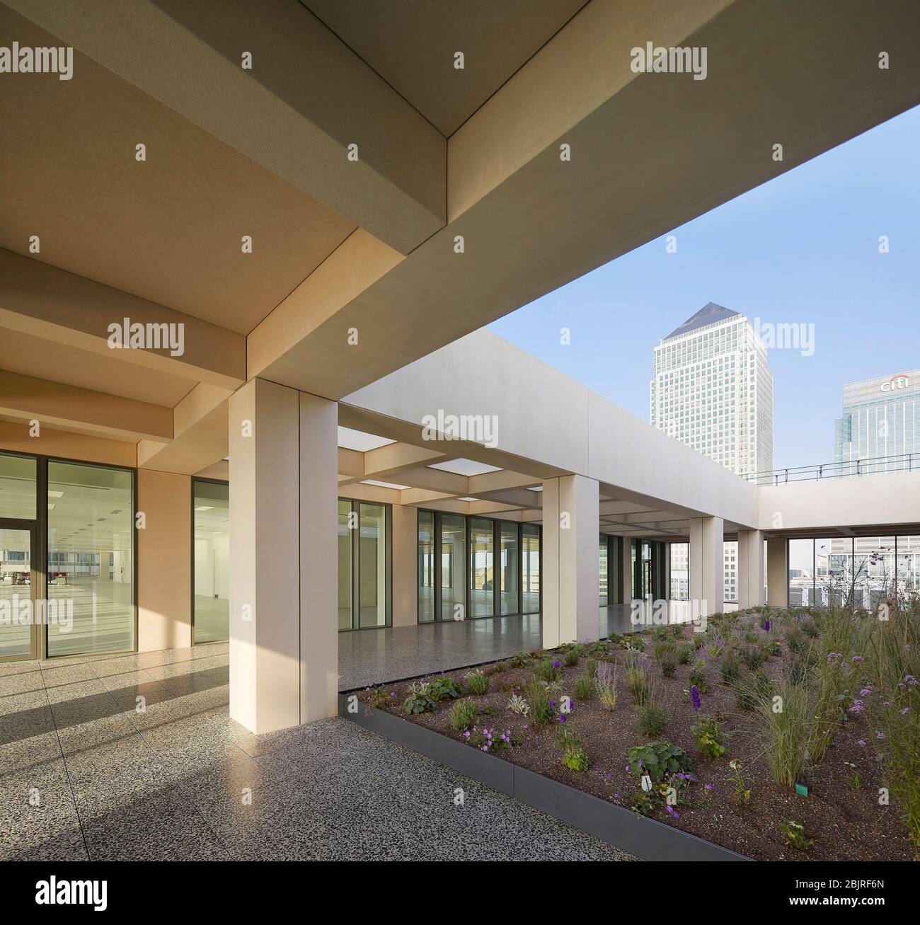 Terrazza esterna al piano superiore con vista su 1 Canada Square. 25 Cabot Square, Londra, Regno Unito. Architetto: Carmody Groarke, 2019. Foto Stock