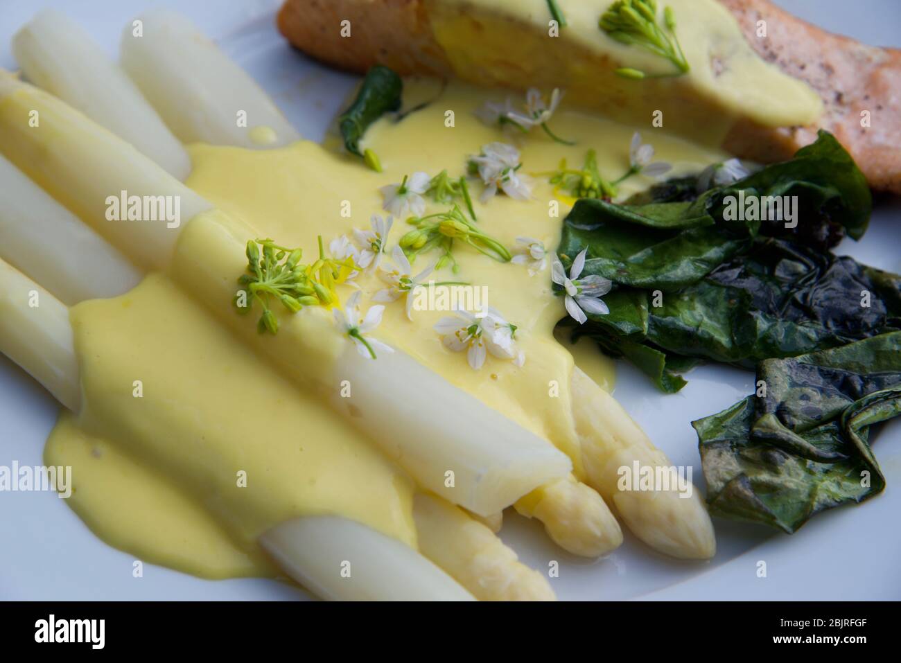 Pasto su un piatto: Salmone fritto in padella, asparagi bianchi e bietole  con salsa Hollandaise e condito con fiori di aglio rosa selvaggio Foto  stock - Alamy