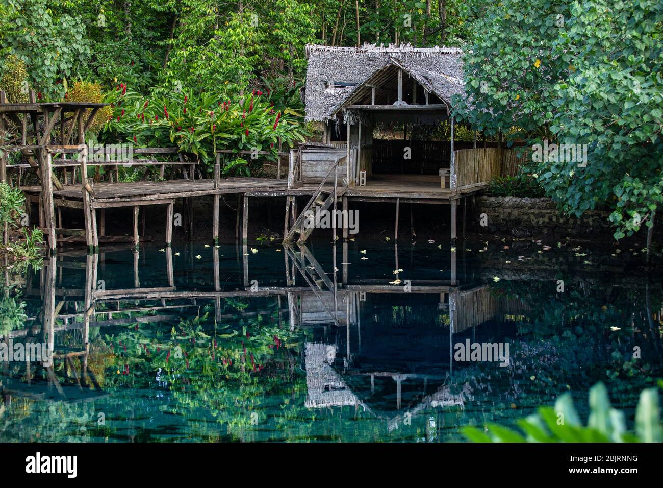 Capanna di legno nella lussureggiante foresta pluviale acqua dolce lago blu laguna Espirito Santo isola Vanuatu Oceania Foto Stock